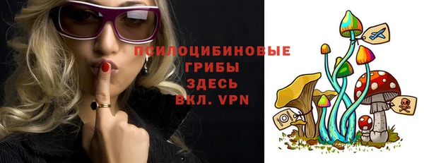 круглые Арсеньев