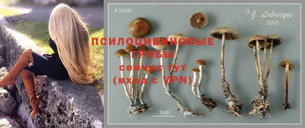 каннабис Аркадак