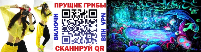 мега сайт  Покачи  Псилоцибиновые грибы Psilocybine cubensis  darknet Telegram  наркота 
